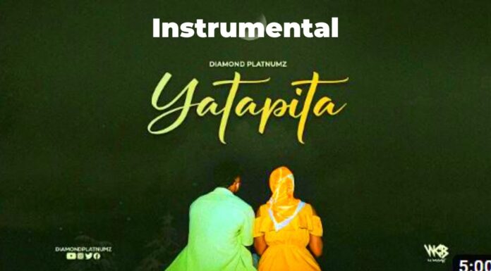 Diamond Platnumz – Yatapita (Instrumental)