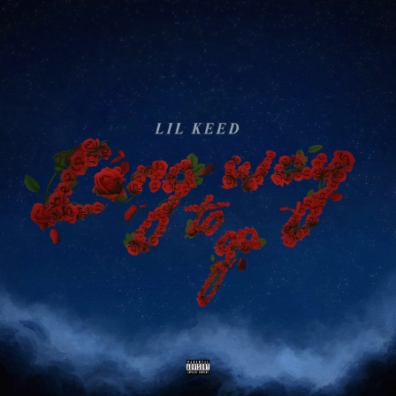 SINGLE-ART-explicit