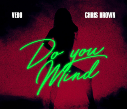 Chris Brown – Do You Mind (Instrumental)