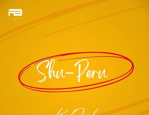 Kizz Daniel – Shu-Peru (Instrumental + Hook)