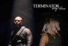 King Promise – Terminator ft Young Jonn (Instrumental)