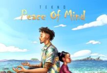 Tekno – Peace Of Mind (Instrumental)