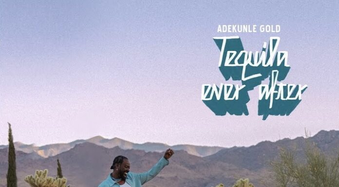 Adekunle Gold – Wrong Person (Instrumental) ft OdumoduBlvck