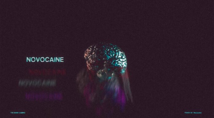 The Band CAMINO Novocaine Instrumental