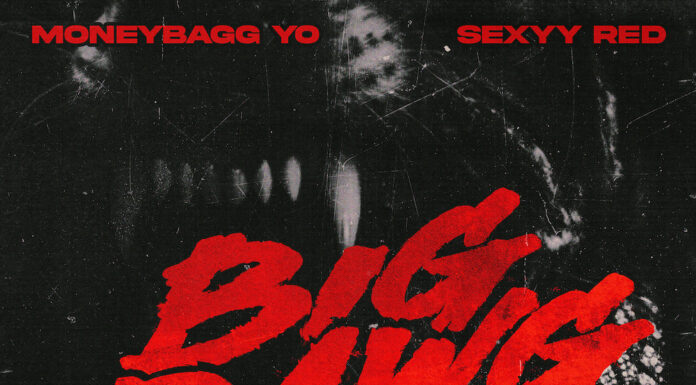 Moneybagg Yo & Sexyy Red Big Dawg Instrumental