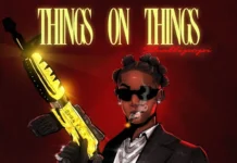 Shallipopi Things On Things Instrumental