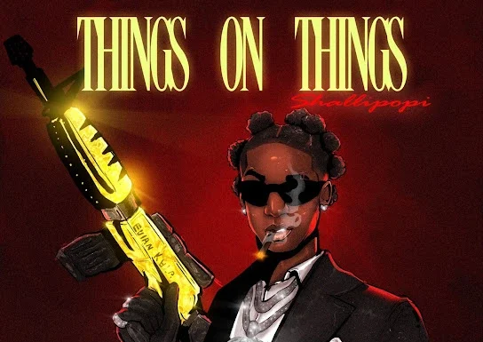 Shallipopi Things On Things Instrumental