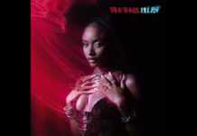 Download Ayra Starr – Rhythm & Blues (Instrumental)