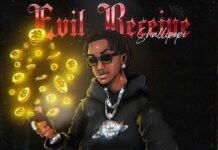 Shallipopi Evil Receive Instrumental