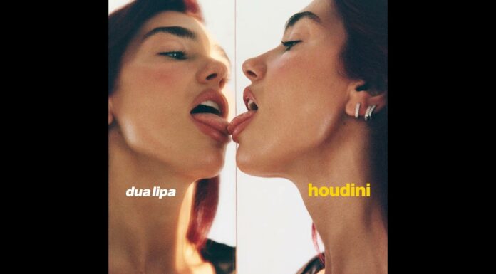 Dua Lipa Houdini Instrumental