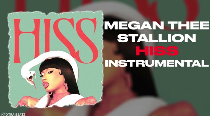 Megan Thee Stallion Hiss Instrumental