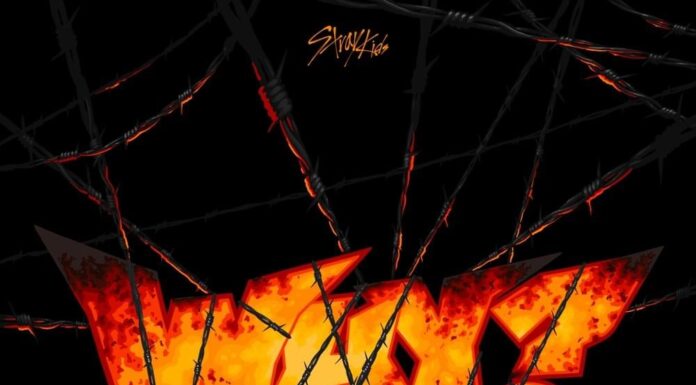 Stray Kids WHY Instrumental