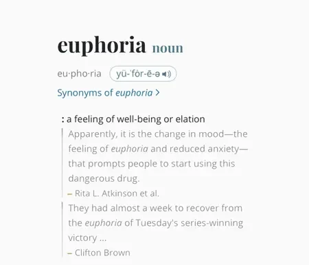 Kendrick Lamar euphoria Instrumental