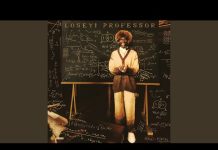 Seyi Vibez – Albert Einstein Instrumental