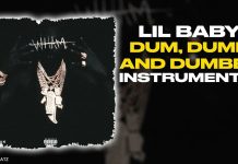 Lil Baby Dum, Dumb, and Dumber Instrumental