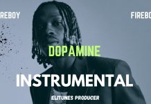 Fireboy – Dopamine Instrumental