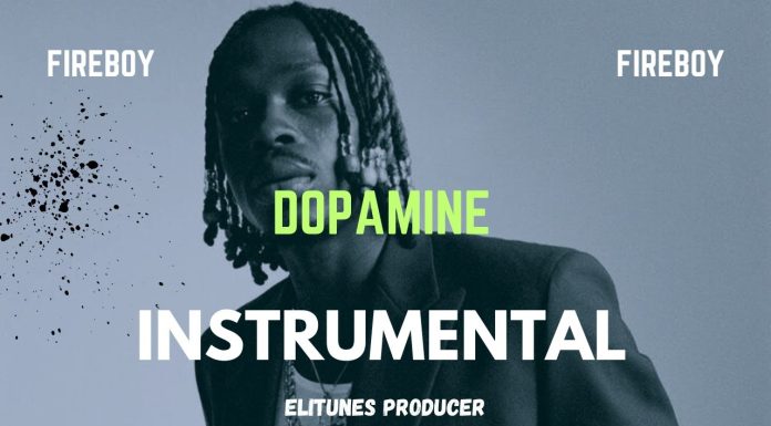 Fireboy – Dopamine Instrumental