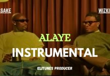 Wizkid ft. Asake – Alaye Instrumental