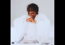 NBA YOUNG BOY – TRY SO HARD INSTRUMENTAL
